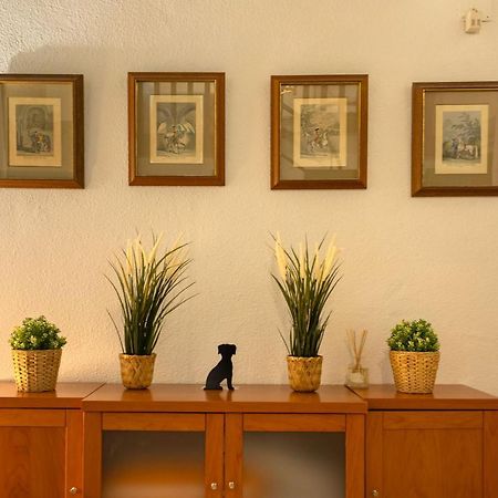 סביליה Apartamento Siglo De Oro מראה חיצוני תמונה